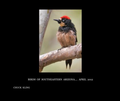 BIRDS OF SOUTHEASTERN ARIZONA.... APRIL 2012 book cover