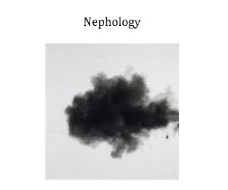 Nephology book cover