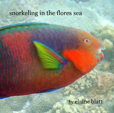 snorkeling in the flores sea book cover