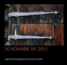 SCHOHARIE NY 2011 book cover