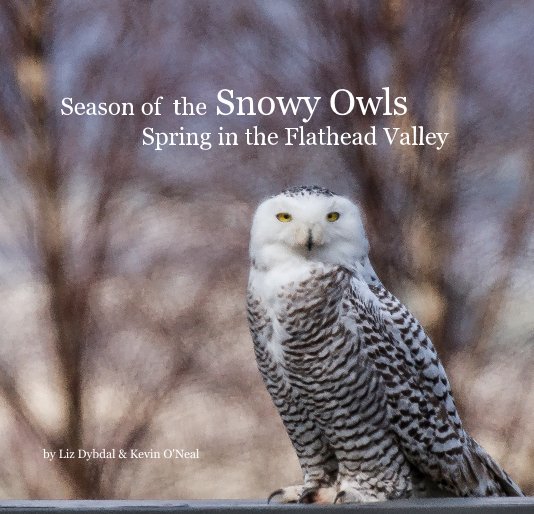 View Season of the Snowy Owls Spring in the Flathead Valley by Liz Dybdal & Kevin O'Neal