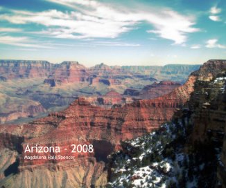Arizona - 2008 book cover