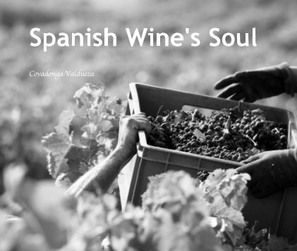 Spanish Wine's Soul book cover