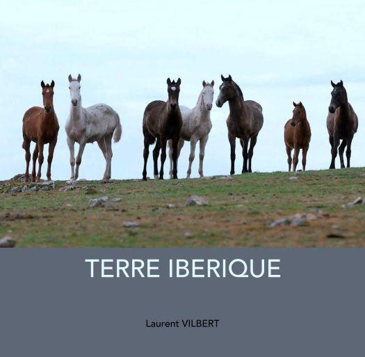View TERRE IBERIQUE by Laurent VILBERT