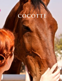 cocotte book cover