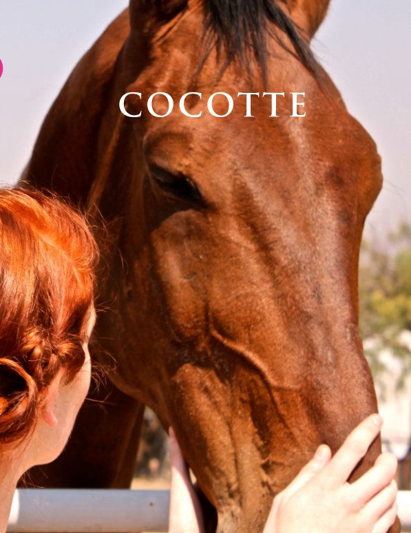 View cocotte by Marenco