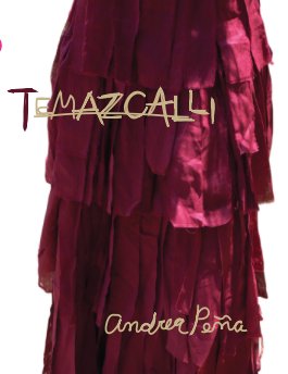 temazcalli book cover