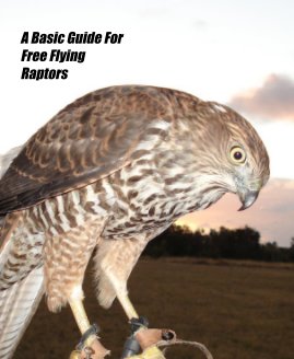 A Basic Guide For Free Flying Raptors book cover