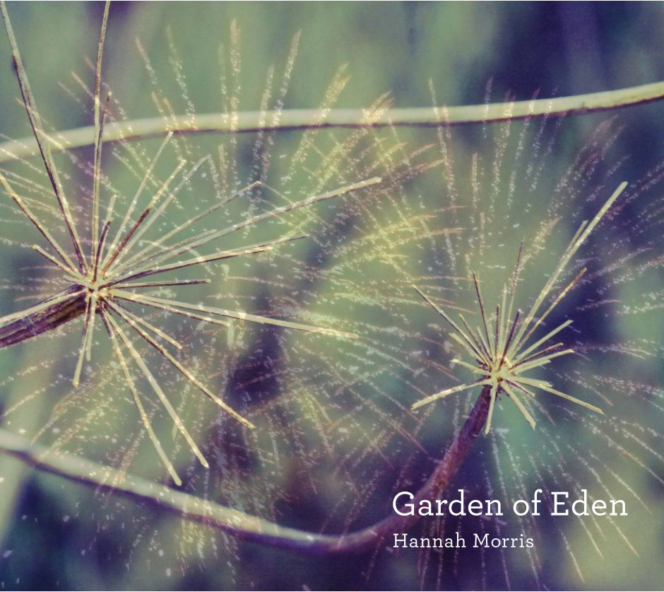 View Garden of Eden by Hannah Morris