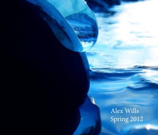 Alex Wills book cover