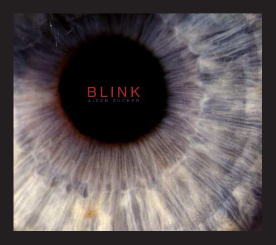 View Blink by Aiden Zucker