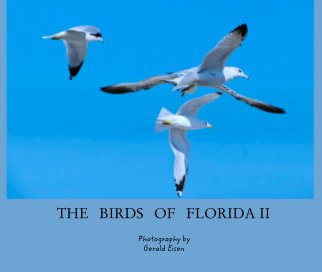 THE   BIRDS   OF   FLORIDA II book cover
