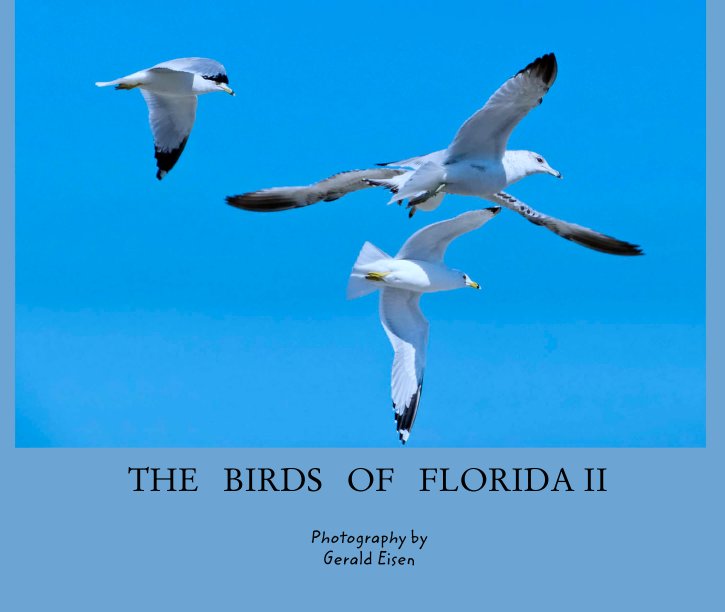 Ver THE   BIRDS   OF   FLORIDA II por Photography by 
Gerald Eisen