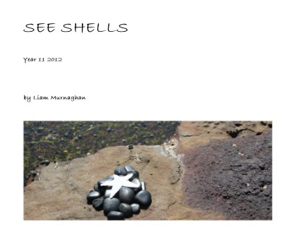 SEE SHELLS book cover