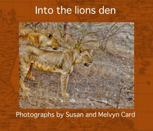 Into the lions den book cover