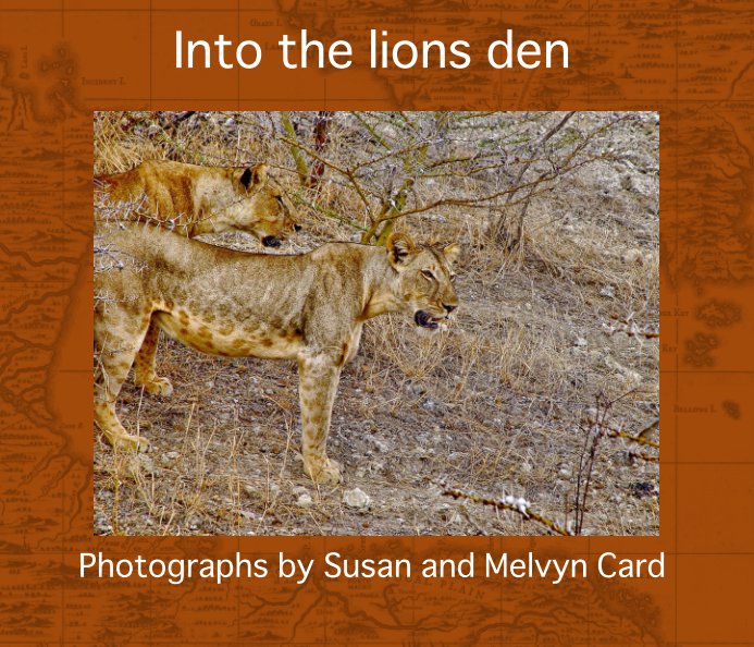 View Into the lions den by Susan and Melvyn Card