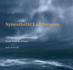 Synesthetic Landscapes book cover