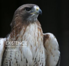 EXISTENCE book cover