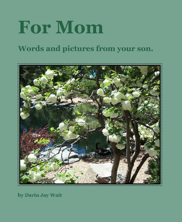 View For Mom by Darin Jay Wait