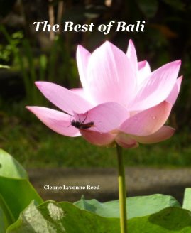 The Best of Bali book cover