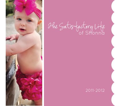 The Satisfactory Life of Shonna book cover