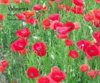 Valmanya book cover