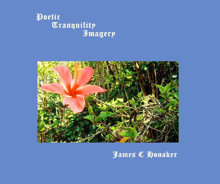 View Poetic Tranquility by James C Honaker