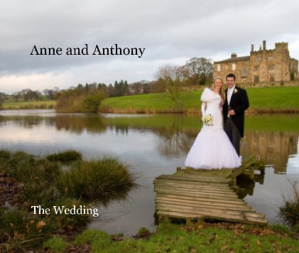 Anne and Anthony book cover