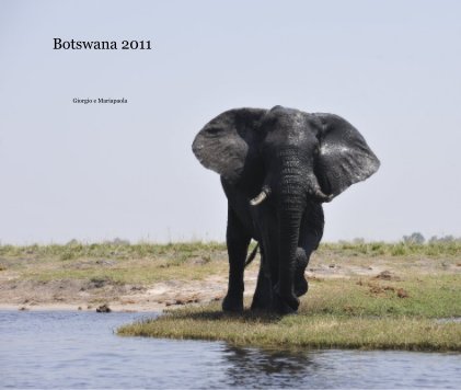 Botswana 2011 book cover