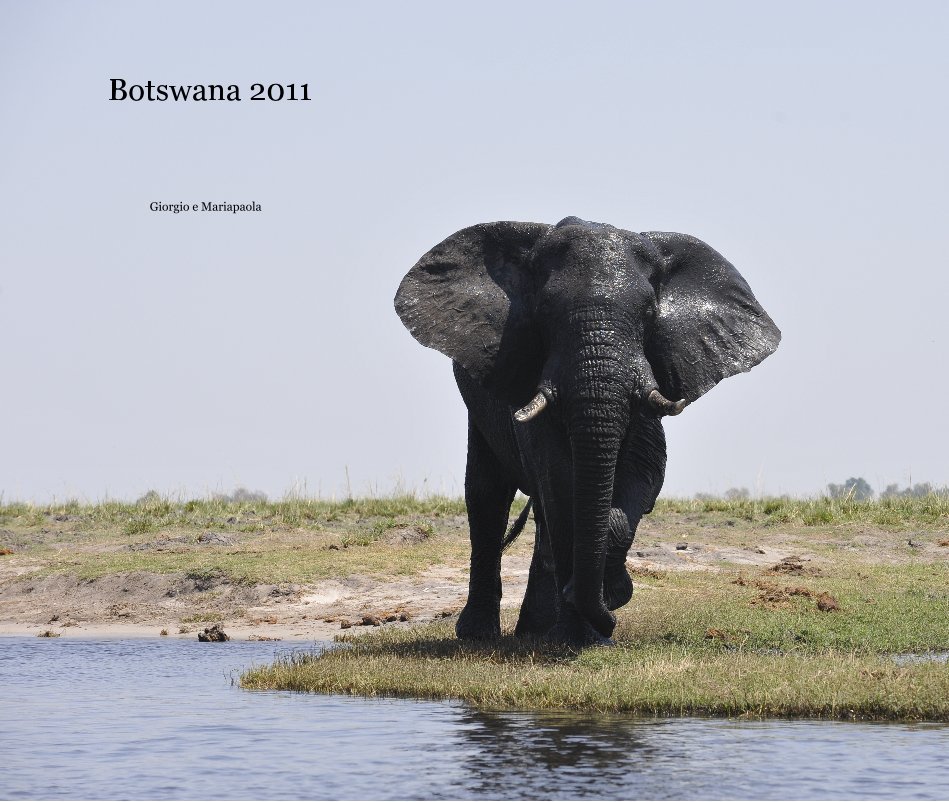 View Botswana 2011 by Giorgio e Mariapaola