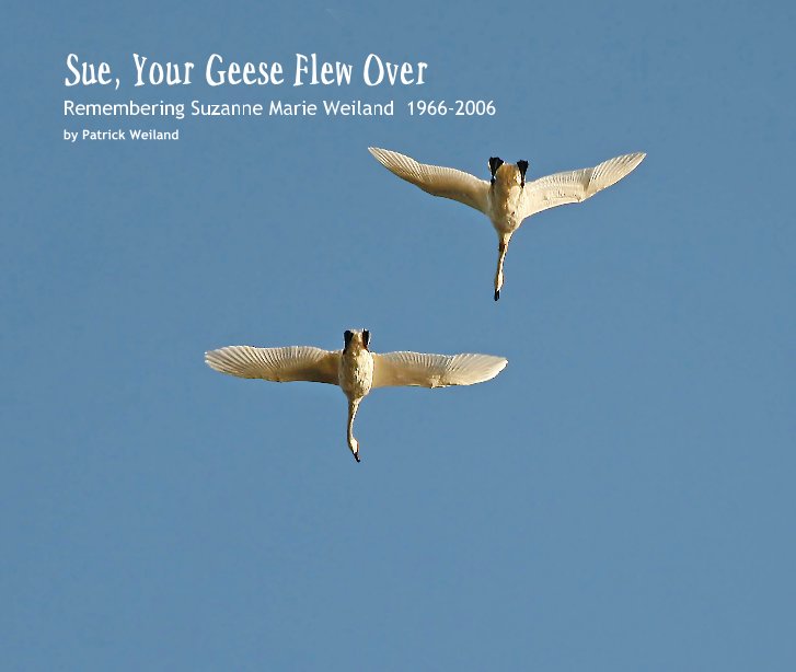 View Sue, Your Geese Flew Over rev 2 by Patrick Weiland