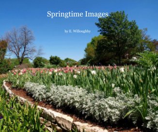 Springtime Images book cover