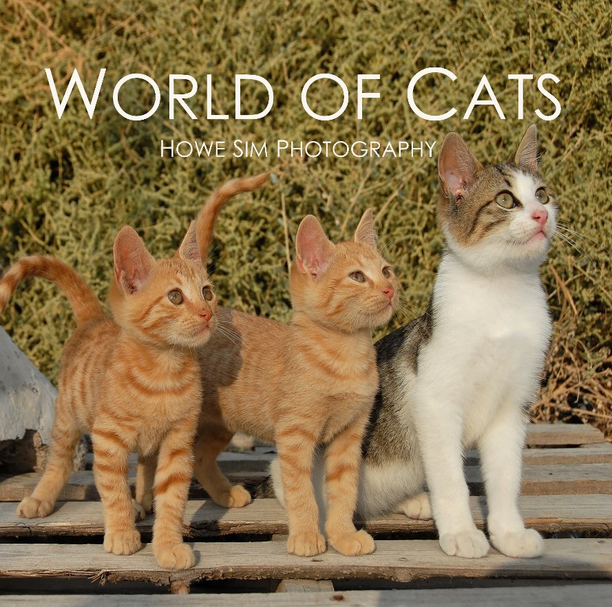 View World of Cats by Howe Sim Photography