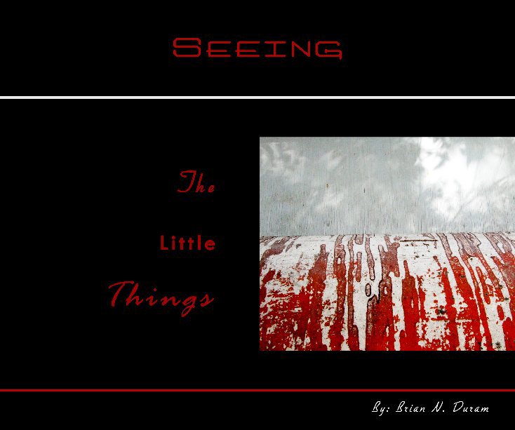 View Seeing the little things by Brian N. Duram