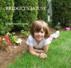 BRIDGET'S HOUSE book cover