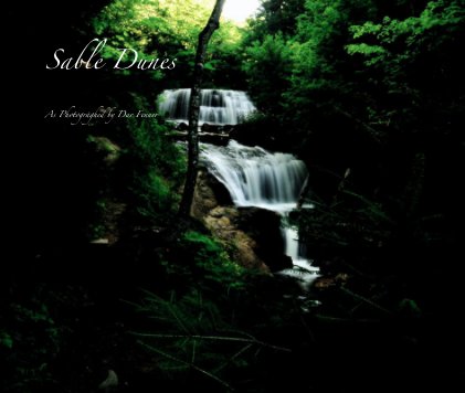 Sable Dunes book cover