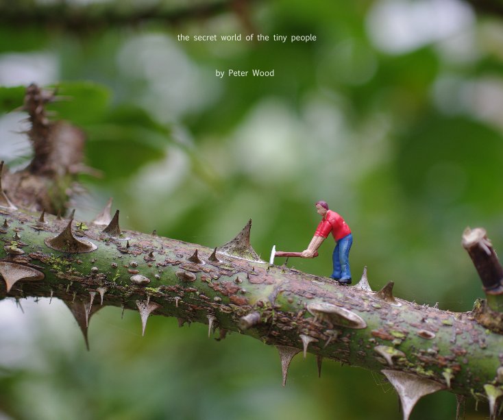 View the secret world of the tiny people by Peter Wood