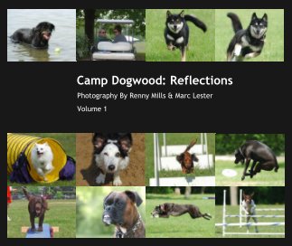 Camp Dogwood: Reflections book cover