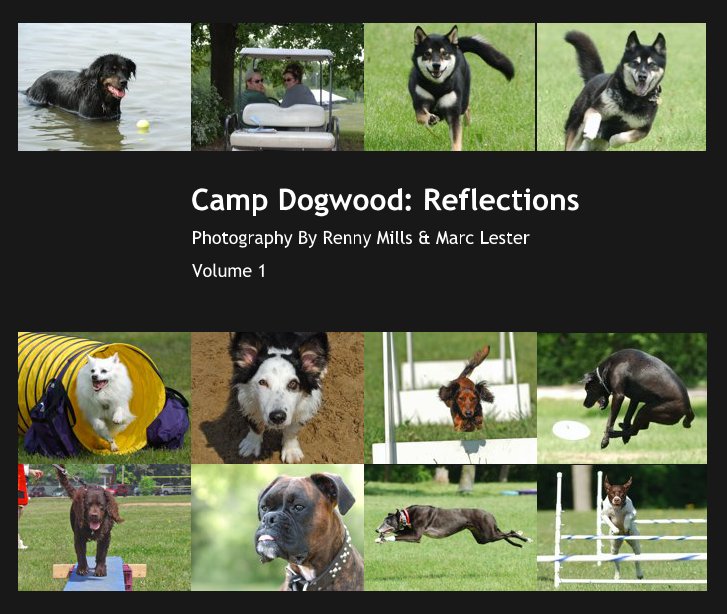 Camp Dogwood: Reflections nach Volume 1 anzeigen