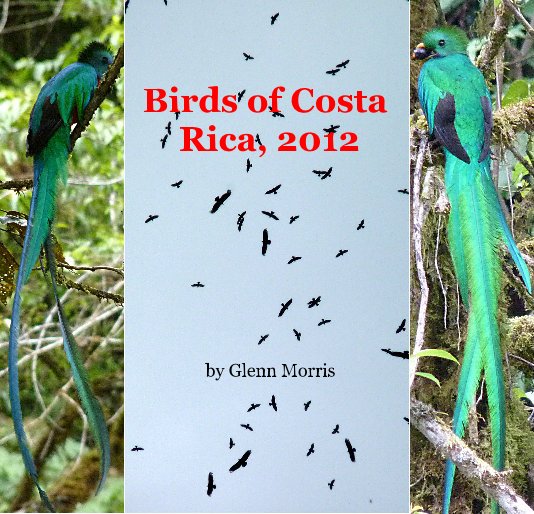 Bekijk Birds of Costa Rica, 2012 op Glenn Morris
