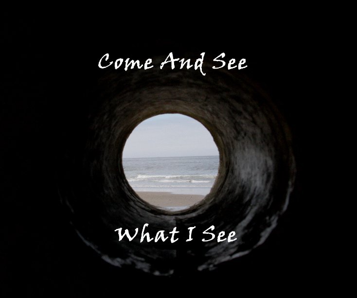 View Come And See What I See by Flaviu  Mitar