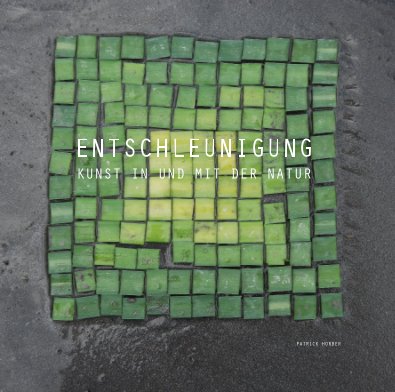 ENTSCHLEUNIGUNG book cover