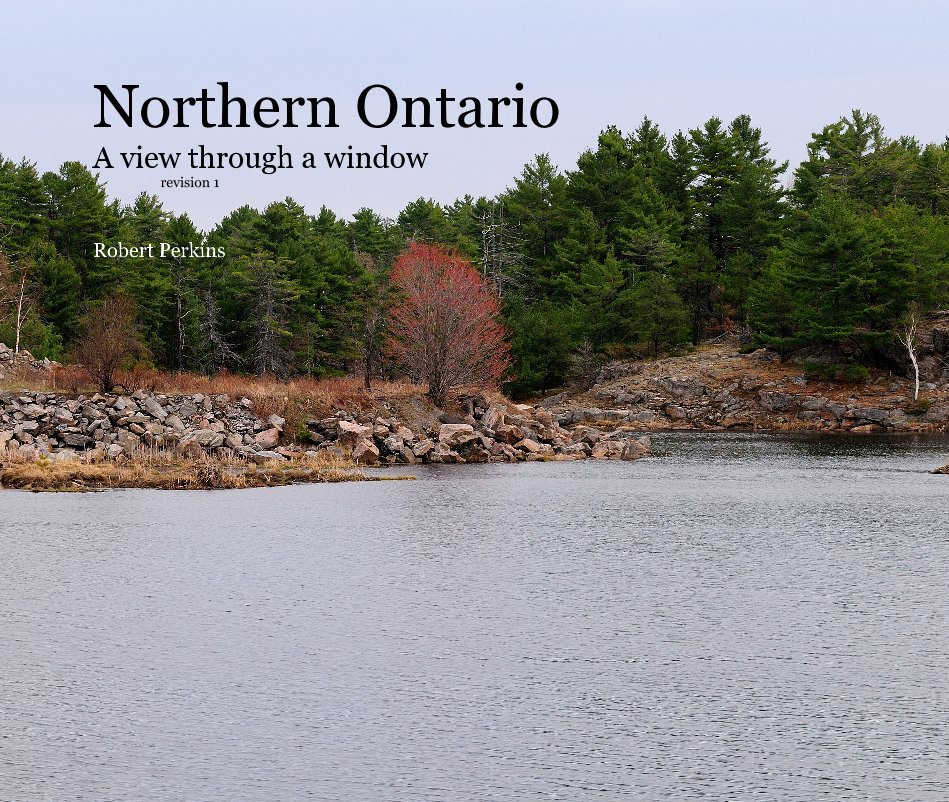 View Northern Ontario A view through a window revision 1 by Robert Perkins