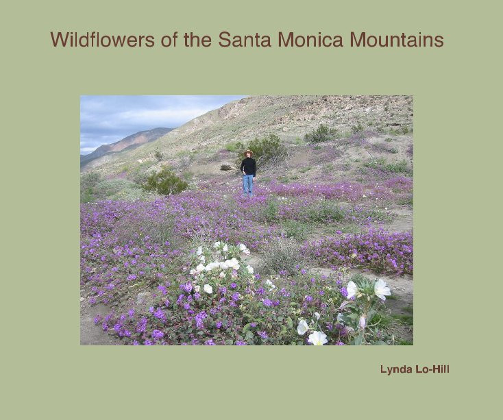 View Wildflowers of the Santa Monica Mountains by Lynda Lo-Hill