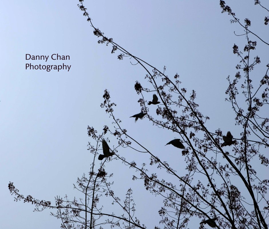 View Danny Chan 
Photography by Danny Chan