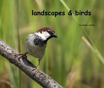 landscapes & birds book cover