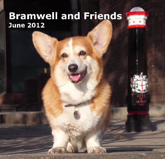 Ver Bramwell and Friends June 2012 por Falknerpiano