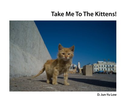 Take Me To The Kittens! book cover