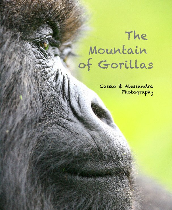 Ver The Mountain of Gorillas por Cassio & Alessandra Photography