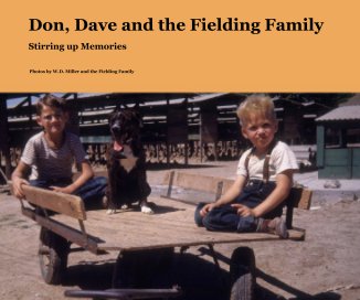 Don, Dave and the Fielding Family book cover